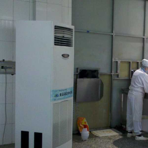 临沂食品正负离子空气杀菌器